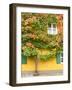 Augsburg Tree and Windows-George Johnson-Framed Photographic Print
