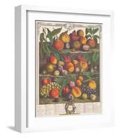 August 1732-Robert Furber-Framed Premium Giclee Print