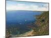 August Afternoon - Whitsand Bay from Rame Head Cornwall-Richard Harpum-Mounted Art Print