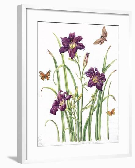 August Bouquet 1-Janneke Brinkman-Salentijn-Framed Giclee Print