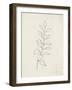 August Branch I-Silvia Vassileva-Framed Art Print