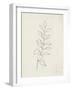 August Branch I-Silvia Vassileva-Framed Art Print