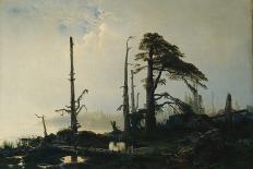 Study of Trees-August Cappelen-Stretched Canvas