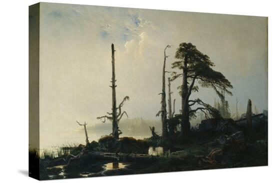 Stretched Canvas Print, , large