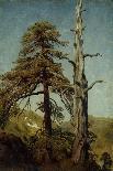 Study of Trees-August Cappelen-Giclee Print