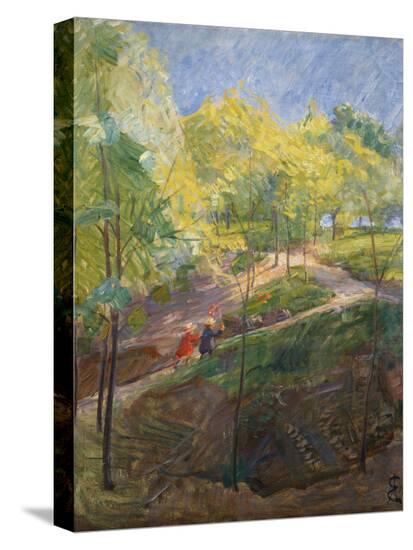 Stretched Canvas Print, , large