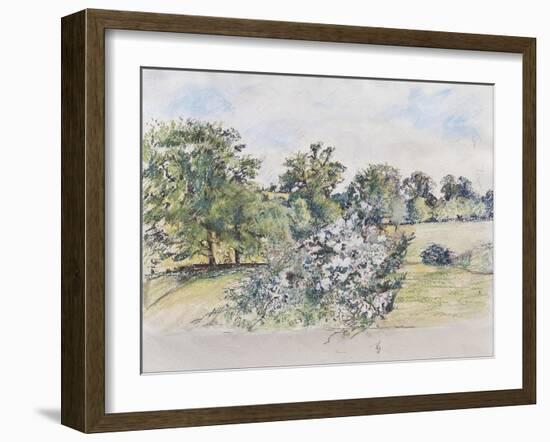 August from Our Window, 2007-Caroline Hervey-Bathurst-Framed Giclee Print