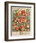 August, from 'Twelve Months of Fruits', by Robert Furber (C.1674-1756) Engraved by C. Du Bose, 1732-Pieter Casteels-Framed Premium Giclee Print