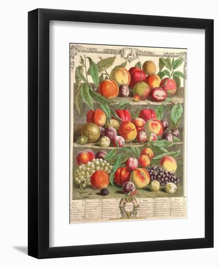 August, from 'Twelve Months of Fruits', by Robert Furber (C.1674-1756) Engraved by C. Du Bose, 1732-Pieter Casteels-Framed Premium Giclee Print