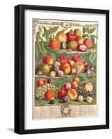 August, from 'Twelve Months of Fruits', by Robert Furber (C.1674-1756) Engraved by C. Du Bose, 1732-Pieter Casteels-Framed Giclee Print