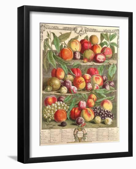 August, from 'Twelve Months of Fruits', by Robert Furber (C.1674-1756) Engraved by C. Du Bose, 1732-Pieter Casteels-Framed Giclee Print