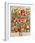 August, from 'Twelve Months of Fruits'-Pieter Casteels-Framed Giclee Print