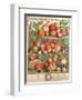 August, from 'Twelve Months of Fruits'-Pieter Casteels-Framed Giclee Print