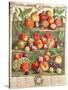 August, from 'Twelve Months of Fruits'-Pieter Casteels-Stretched Canvas