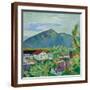 Brown Frame