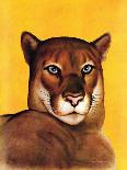 "Mountain Lions,"September 25, 1937-August Schombrug-Laminated Giclee Print