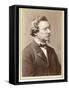 August Wilhelm Von Hofmann German Chemist-null-Framed Stretched Canvas