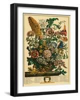 August-Robert Furber-Framed Art Print