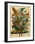 August-Robert Furber-Framed Art Print