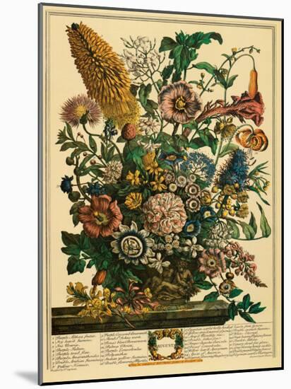 August-Robert Furber-Mounted Art Print