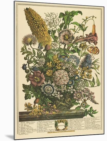 August-Robert Furber-Mounted Giclee Print