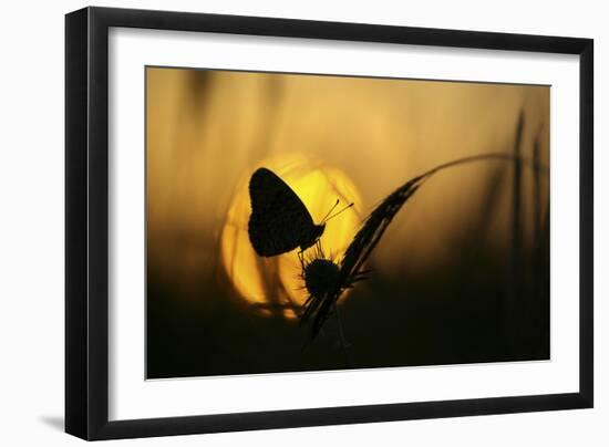 August-Janini Zhana Topchieva)-Framed Photographic Print