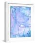 August-T30Gallery-Framed Art Print