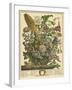 August-Robert Furber-Framed Premium Giclee Print