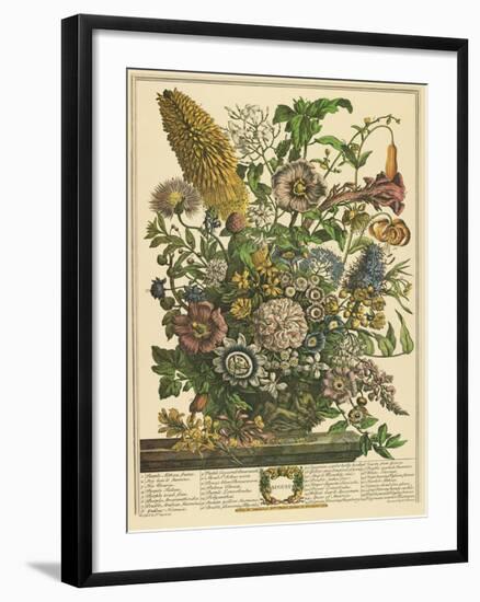 August-Robert Furber-Framed Premium Giclee Print