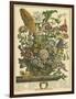 August-Robert Furber-Framed Art Print