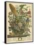 August-Robert Furber-Framed Stretched Canvas