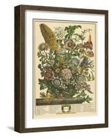 August-Robert Furber-Framed Art Print