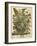 August-Robert Furber-Framed Art Print