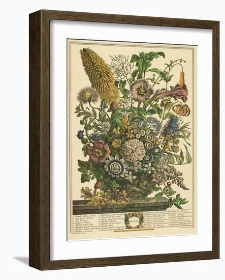 August-Robert Furber-Framed Art Print