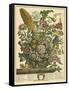 August-Robert Furber-Framed Stretched Canvas