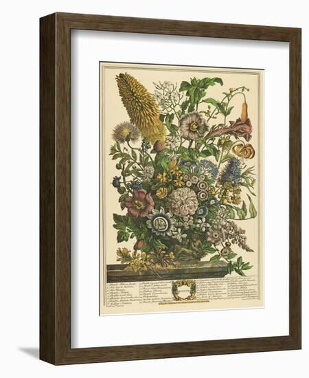 August-Robert Furber-Framed Art Print