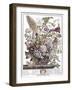 August-H. Fletcher-Framed Giclee Print