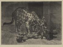 Jaguar and Cubs at the Jardin Des Plantes-Auguste Andre Lancon-Giclee Print