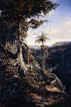 Jala-Jala Forest-Auguste Borget-Giclee Print