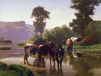 Cattle by a Lake (Oil on Canvas)-Auguste Francois Bonheur-Giclee Print