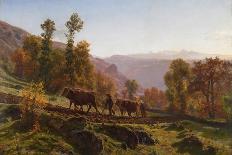 Cattle in a Wooded River Landscape-Auguste Francois Bonheur-Framed Giclee Print