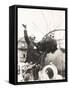 Auguste Piccard Waves as He Climbed into the Spherical Aluminum Capsule-null-Framed Stretched Canvas