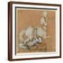 Brown Frame