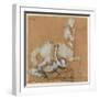 White Frame