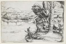 Large Tree and Castle on a Lake, 1546-Augustin Hirschvogel-Giclee Print