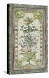 Silk Petals-Augustine-Stretched Canvas