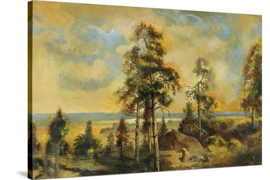 Stretched Canvas Print, , large