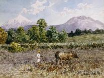 A Farmer Plowing, 1913-Augusto Lohr-Giclee Print