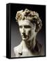 Augustus, 63 BC-14 AD, Roman emperor-null-Framed Stretched Canvas