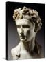 Augustus, 63 BC-14 AD, Roman emperor-null-Stretched Canvas